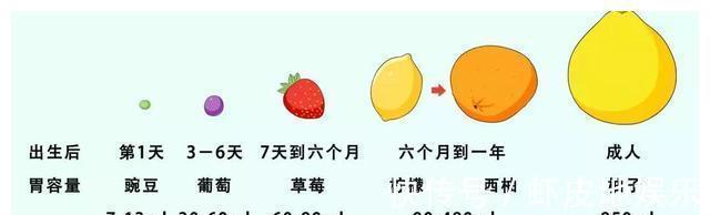 玉米粒|孩子吃饱了大人还喂会有什么后果?娃一顿吃多少,家长心里要有数