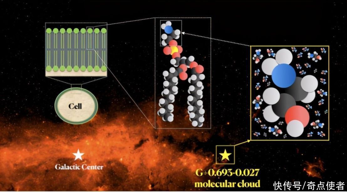 成分 外星生命或普遍存在！分子云中出现乙醇胺，它是生命的关键成分
