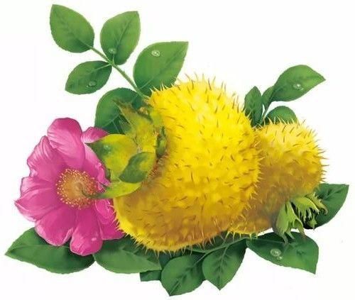 呵护|秋天养生正当时,多吃三种食物,呵护肌肤,延缓衰老,排毒养颜