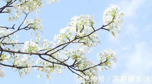 苏东坡#苏东坡40岁一首诗:开篇引人入胜,中年人的写照,读完感慨不已