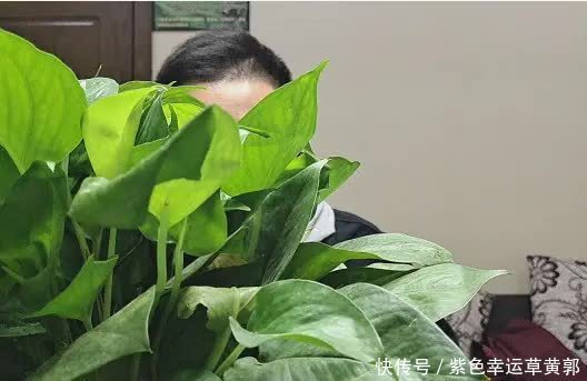 抗诉|小伙跳楼砸死小区祖孙2人,父母被判决赔偿106万:赔不起抗诉