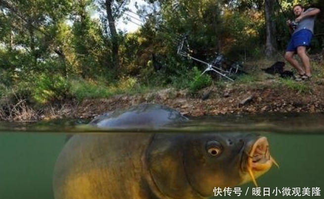 子线|野钓必学的8个秘诀,照我这样做,每次钓完美滋滋——盛世三渔