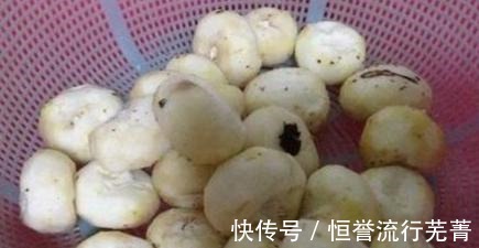 冬季药膳竹蔗羊肉汤!