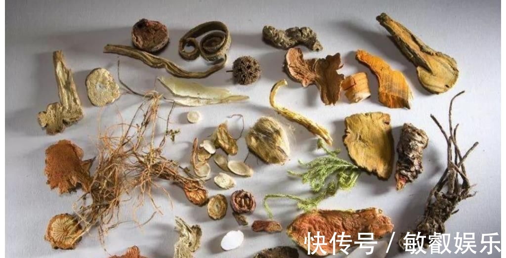 养肝护肝|每天认识一味中草,肝炎的“灭火剂”,敞开吃,肝一天比一天好