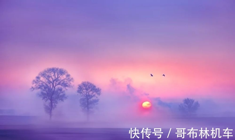 东山晴后雪#五首写雪后初晴的诗词,感受雪后红装素裹、绚丽多姿的美景