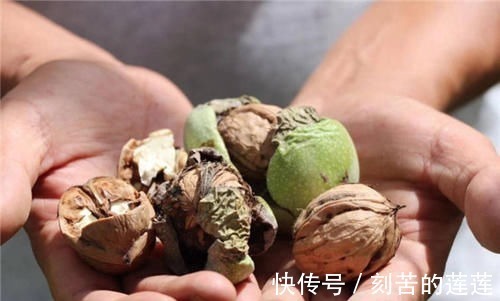 香蕉|大脑最喜欢的食物排行榜,核桃只排到第四,常吃的下酒菜排第一