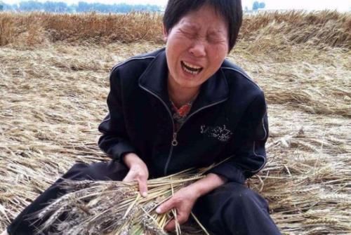 “宁可要没出息的儿子,也不要有能力的女儿”,老人的话引起热议