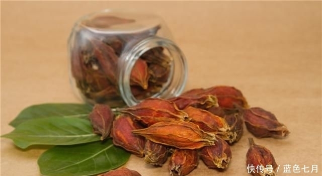 栀子泡茶的功效与作用,栀子茶还有这些禁忌要注意