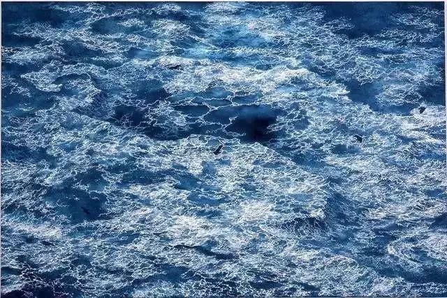 东京艺术大学|一幅画画了3年,细到要用放大镜,他把钢笔画玩到了极致