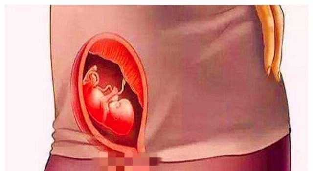 暴涨期|胎儿在宫内是如何发育成型的?十张图读懂胎儿发育过程,都该看看