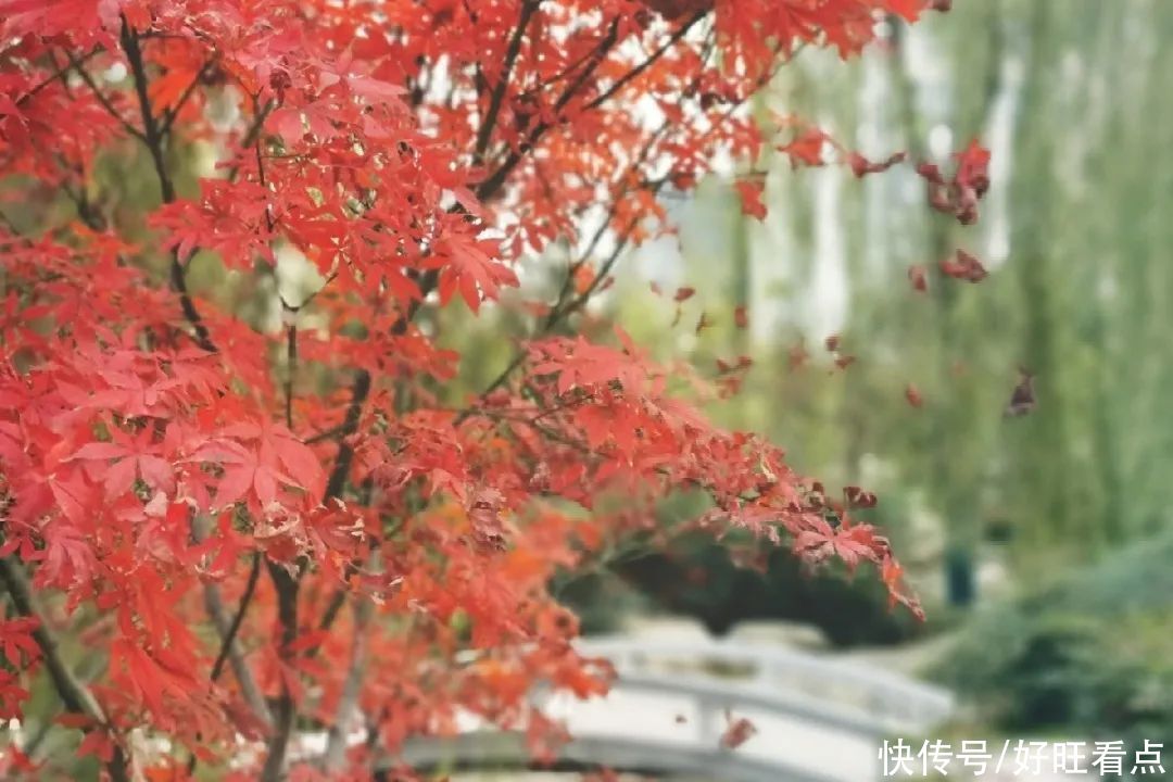 魅力陕西行·走进宝鸡文理学院，来一场说走就走的旅行吧！