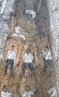 |搞笑GIF:看着都觉得好痛 赶紧喝口饮料压压惊