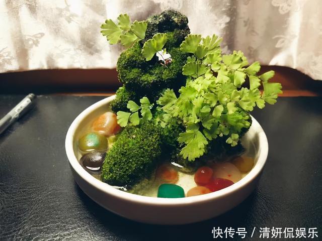 观音莲|天生“体阴”的6种花,晒太阳易黄叶,阴一点反而长得绿油油