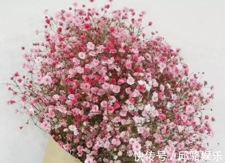 早发白帝城&六首“早安”诗词:风动影动心不动,独自沉香待花开