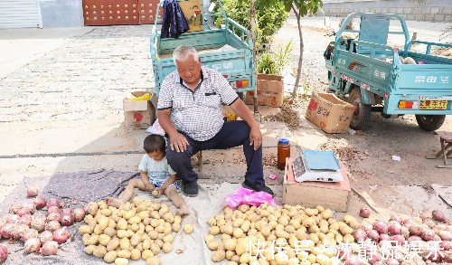 西红柿|37度高温，农村2岁娃跟着爷爷做生意，土豆当玩具，看得心疼