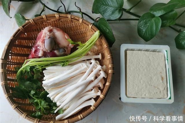 做菌菇豆腐汤,和这个食材一起煮,鲜香味美,香味扑鼻
