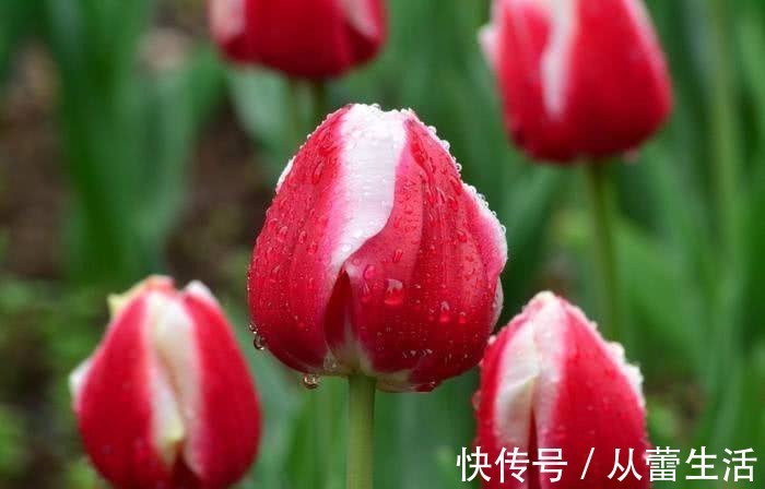 唐太宗|有出息的人,身上往往有这三个特点,看看你有吗?