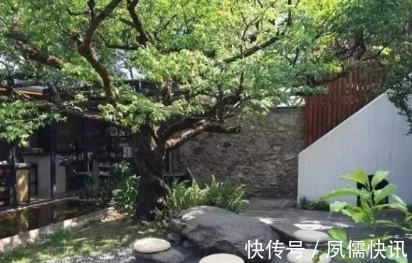院子里长出这5种草,看到就铲除别犹豫,留下会“后患无穷”