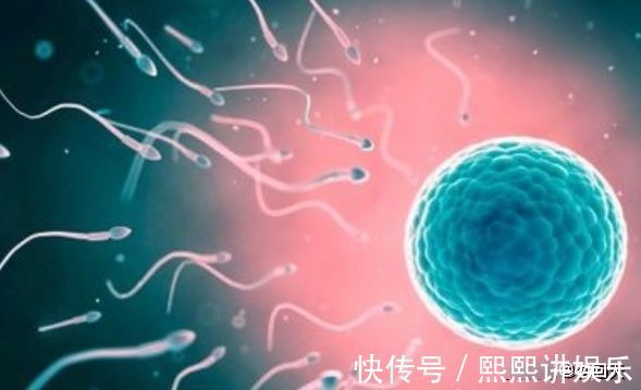 激素|同样是怀孕，有的人孕吐厉害，有的却没事？可能和腹中胎儿有关系