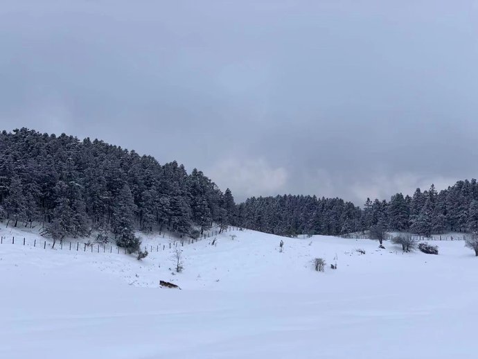 仙女山迎今年最强降雪--视界网