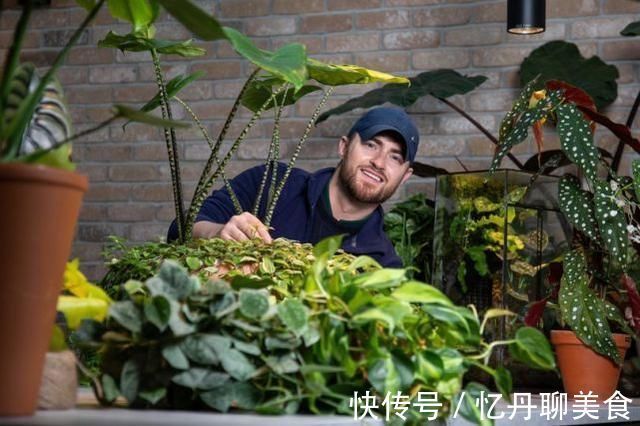 英国宅男将客厅打造成丛林，其中一棵“摇钱树”每片叶子10万元