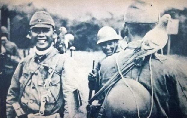 军犬|抗战时最危险的动物，哪怕仅剩一颗子弹也要把他杀了，并非军犬！