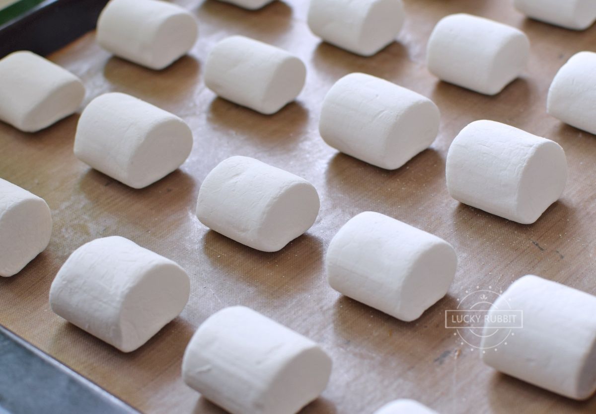 试做网红饼干,只需两种材料,又甜又脆,好吃到停不下来