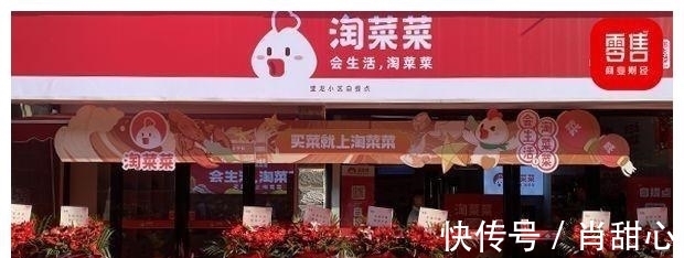 电商|不再是惦记几捆白菜?人民日报做出肯定,马云可以放心了!