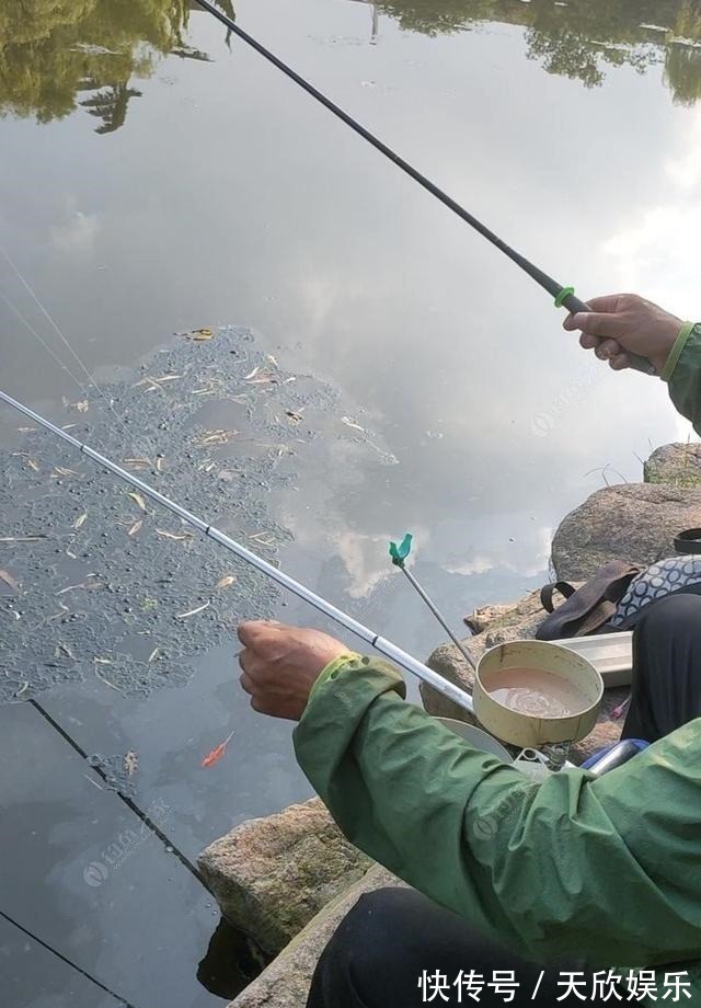 向高龄钓友请教的“摇三摇”钓法,毫无保留的分享给大家