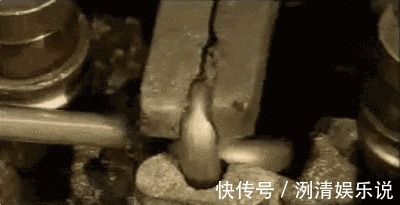 身心|20张看了可以”解压“的照片，压力大时看完，绝对身心舒畅