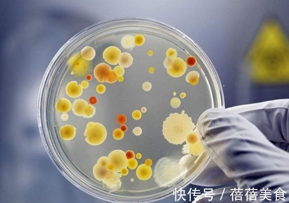 冰块|冰箱结冰时，不要铲也别敲，教你一个土方法，5分钟冰块全掉下