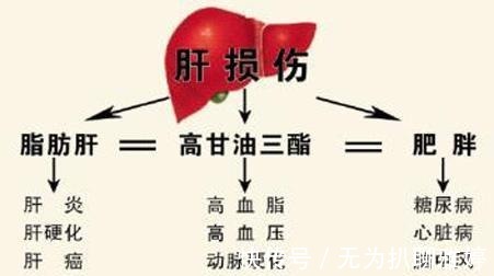 养肝|养肝就是养命, 早上起床做4件事, 肝脏一辈子没毛病。