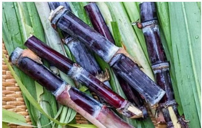 家家户户|马上就是腊八节了,多吃3种祥云果,寓意身康体健幸福如意