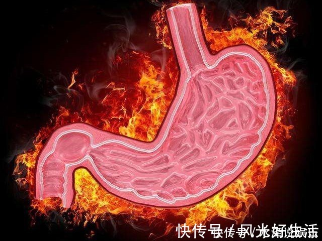 滇南本草|一朵美丽的花,竟然是“去火”第一药,可清除五脏之火