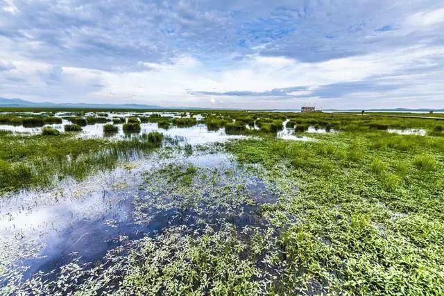 中国最美六大沼泽湿地,养在深闺无人识,去过的都惊叹不已