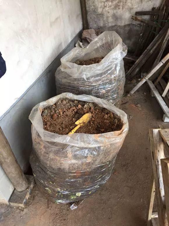 老花匠：扔4种“东西”，就是扔钱，比花肥还好用，不花钱！