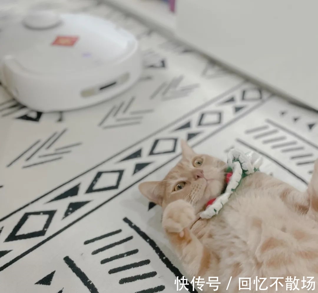 爸爸回來|懶得吃懶得動(dòng)懶得上廁所,當(dāng)代青年人有多懶,你根本想不到