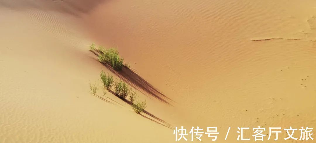 沙漠|除了黄沙漫天，腾格里的沙漠里还能干什么？