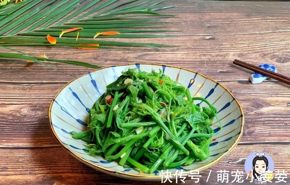 雨婷|这菜南方人当宝,清脆清肠,北方人却当草,不懂吃可惜了