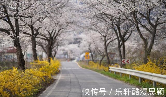 生肖狗|爱“记仇”，得势不饶人的生肖，不要轻易得罪他们，否则会很麻烦