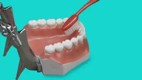 刷牙|5岁男孩突发急性肾炎，病根竟然是在口腔里