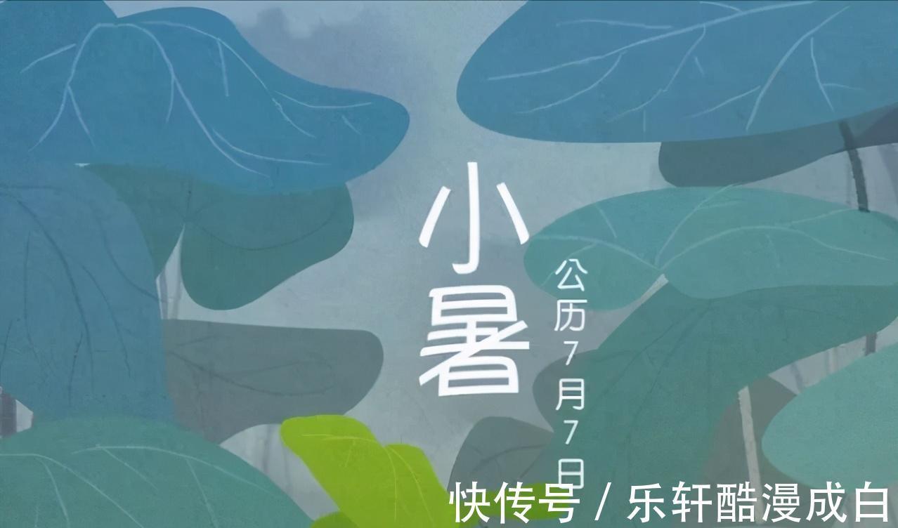 头伏|“小暑大暑,上蒸下煮”,今年是小暑热还是大暑热终于有答案了