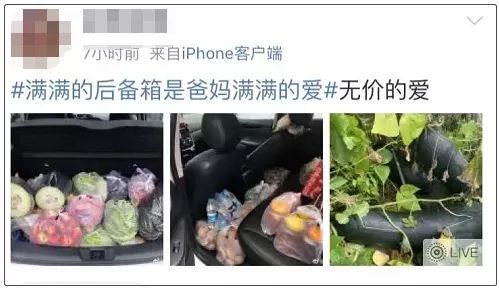 行李箱|后备箱又双叒叕上热搜，网友：像是回家进货