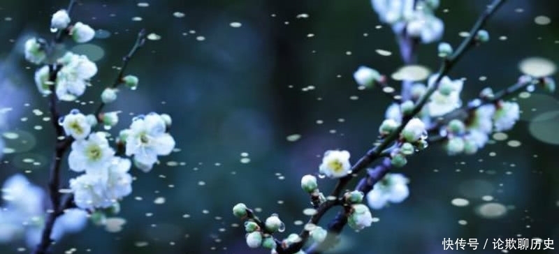 宋朝一位二流的诗人,却写下一流的咏梅诗,通篇充满了诗情画意!