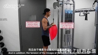 三头肌|手臂太细怎么练掌握这3点,“肱三头轰炸”练出麒麟臂