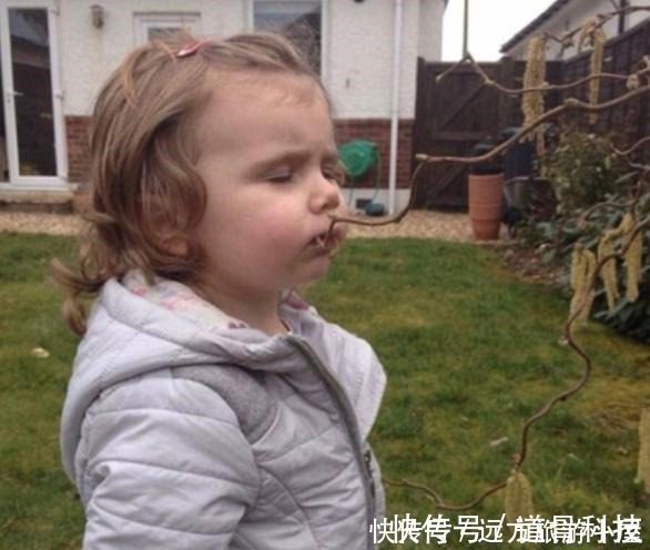 女童|9岁女童腹痛难忍,家长上医院求助,检查结果令人意外