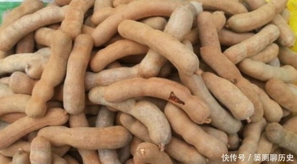 南方长得像豆角的水果,如今卖120元一斤,