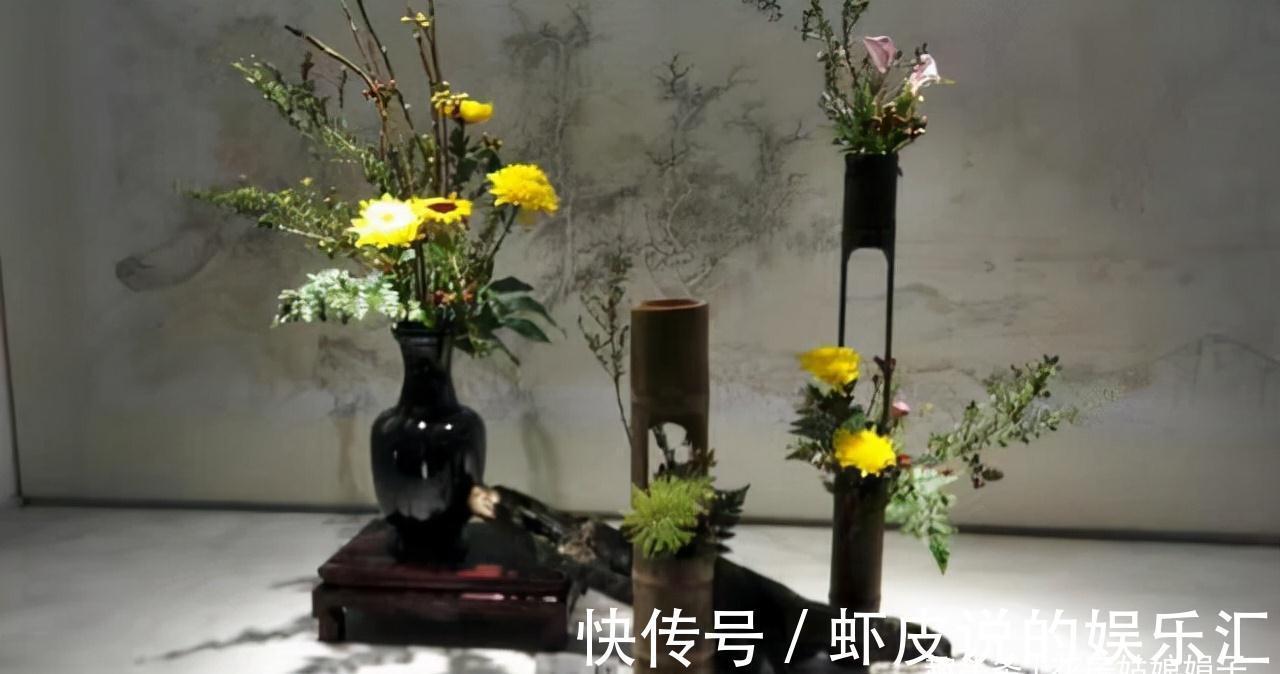 缺铁|养花出现缺铁性黄叶,一定要谨记5点,做到“5注意”,才能长势旺