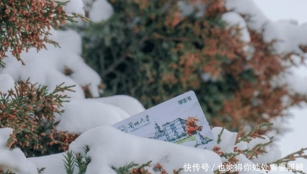 哈工大|哈工大雪地横着走？其他大学“风景如画”，而它则是“银花盛开”