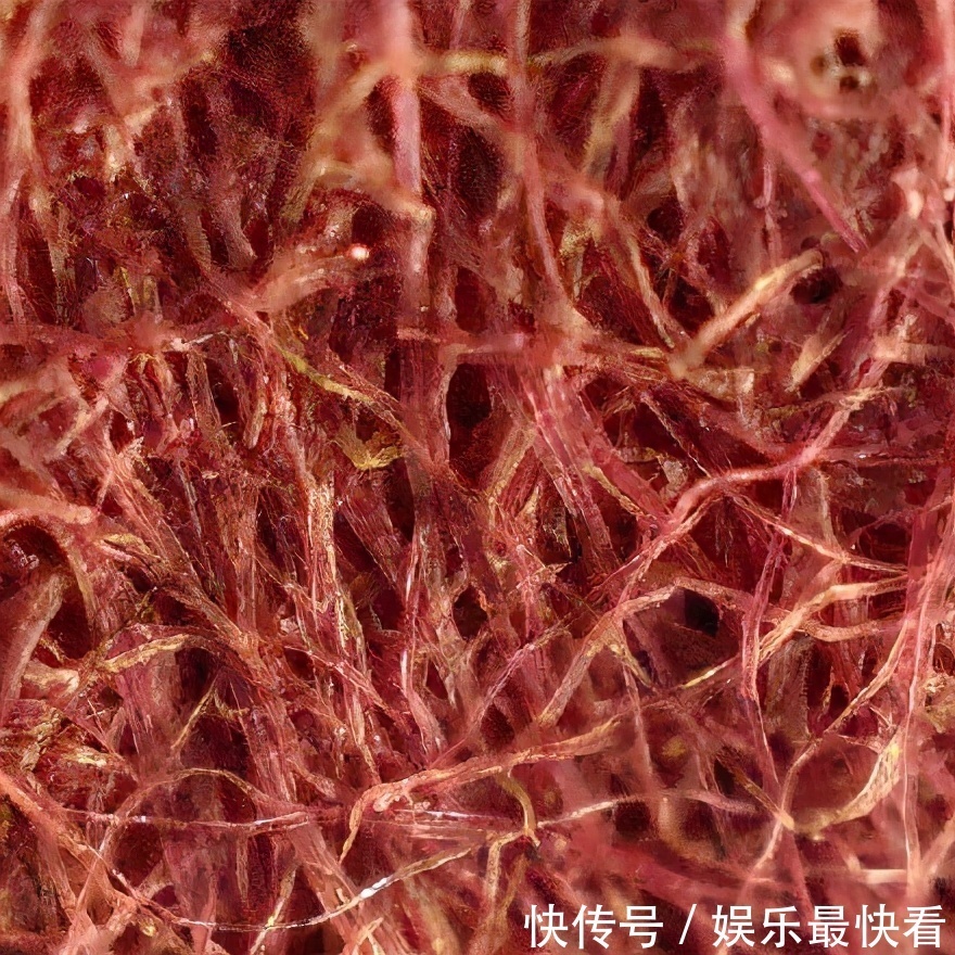 最近流行显微镜皮肤缺水测试?比美容院仪器还好使!直观又省钱